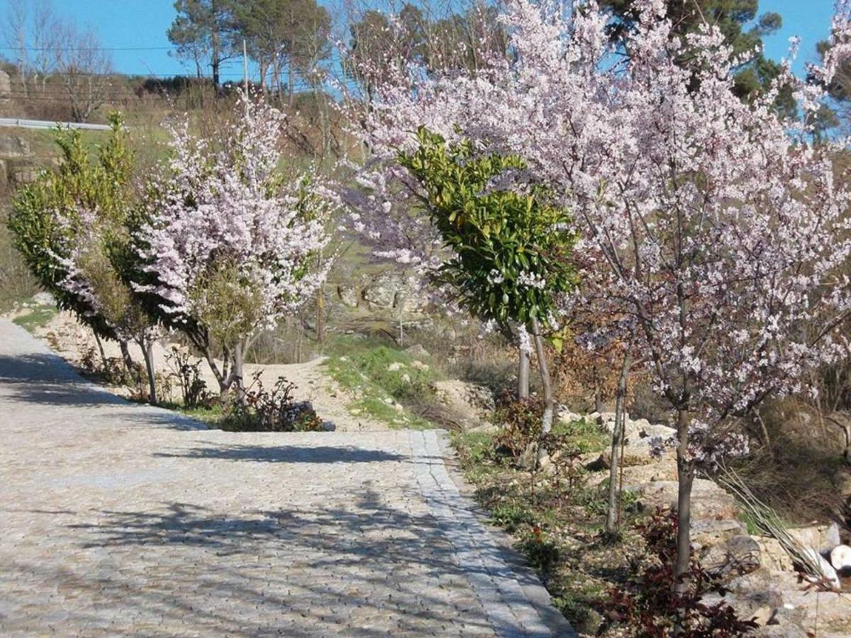 Mystay - Quinta Do Tendeiro Guarda Exterior photo